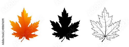 Set of maple leaves icons isolated on white background. Bright autumn red maple leaf, black silhouette and outline. Vector illustration