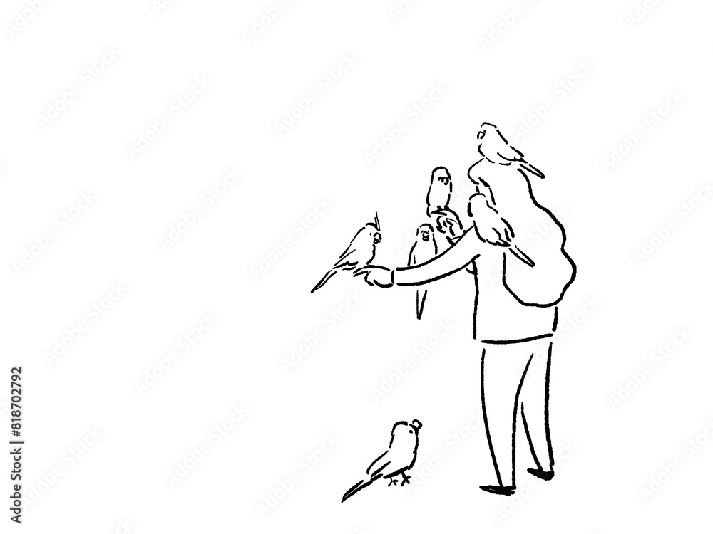 手や肩、頭にインコ、鳥を乗せる女性の後ろ姿、線画 手や肩、頭にインコ、鳥を乗せる女性の後ろ姿、線画