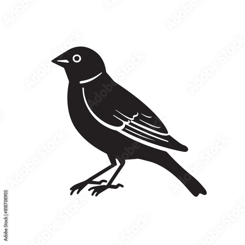 Finch in cartoon, doodle style. Image for t-shirt, web, mobile apps and ui. Isolated 2d vector illustration in logo, icon, sketch style, Eps 10. AI Generative