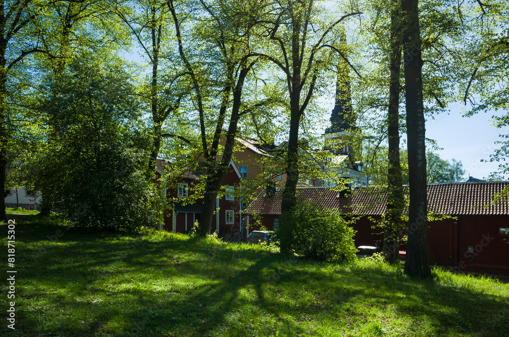 The church spire and traditional Scandinavian buildings of the old town are barely visible through the lace of small green tree leaves glowing in the sun in the spring, Västerås, Sweden The church spire and traditional Scandinavian buildings of the old town are barely visible through the lace of small green tree leaves glowing in the sun in the spring, Västerås, Sweden