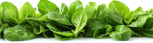 A Caesar salad with crisp greens, viewed from the top and set against a white background photo