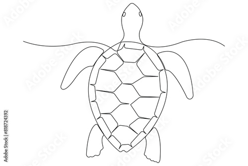Continuous one line art drawing of sea turtle concept of outline vector minimalist illustration
