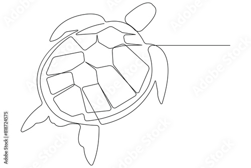 Continuous one line art drawing of sea turtle concept of outline vector minimalist illustration
