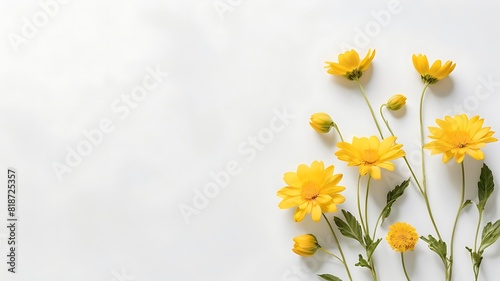 the beauty of vibrant daffodils, their cheerful yellow hues symbolizing renewal and new beginnings, arranged artfully on a pristine white surface, creating a refreshing floral composition,yellow flowe