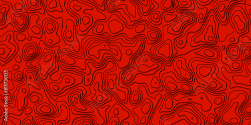 251