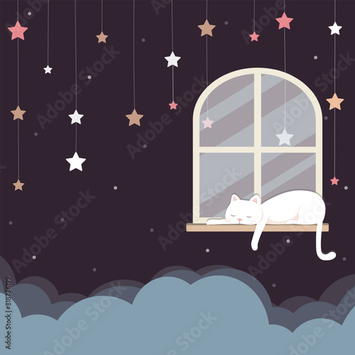 white cat sleeping on windowsill at night time