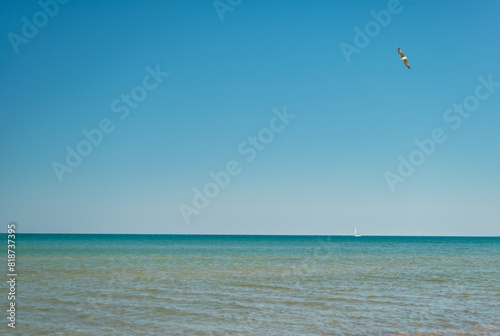 seascape with a yacht on the horizon and a seagull flying over the sea, a sunny day poster for an invitation to a cruise and vacation time at sea