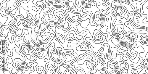 Organic line composition simulating imaginary topographic elevations

