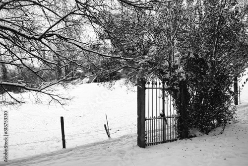 Scenic winter landscape with trees covered in snow in Lasne, Belgium photo