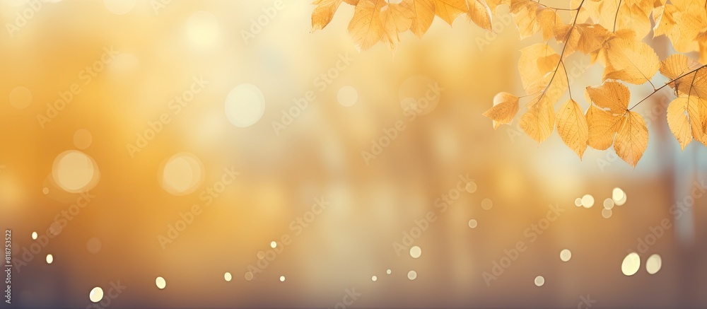 Autumn atmosphere with yellow leaves in the background Copy space image Autumn atmosphere with yellow leaves in the background Copy space image