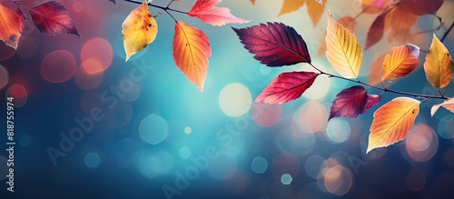 A stunning photo captures the vibrant colors of autumn leaves and paints leaving captivating copy space image photo