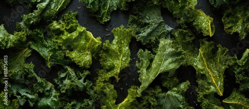 Image of crispy baked kale chips arranged on a stainless steel sheet with an inviting copy space for text or branding photo