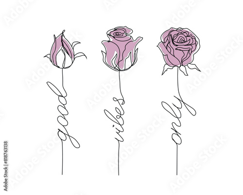 rose sevda contour good vibes only rose