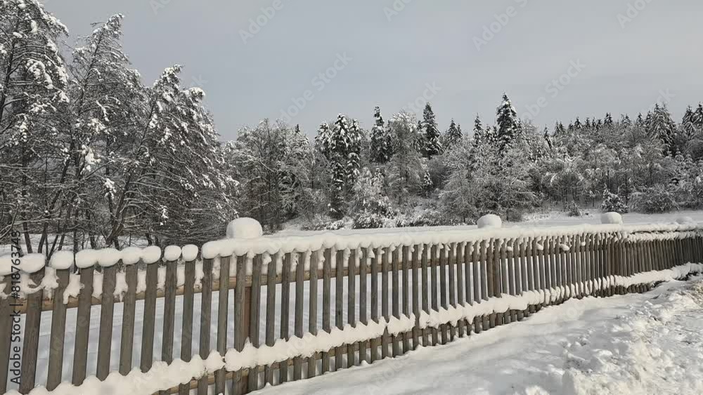 Scenic view of snow-covered dense trees behind wooden fence by the road with misty sky Scenic view of snow-covered dense trees behind wooden fence by the road with misty sky