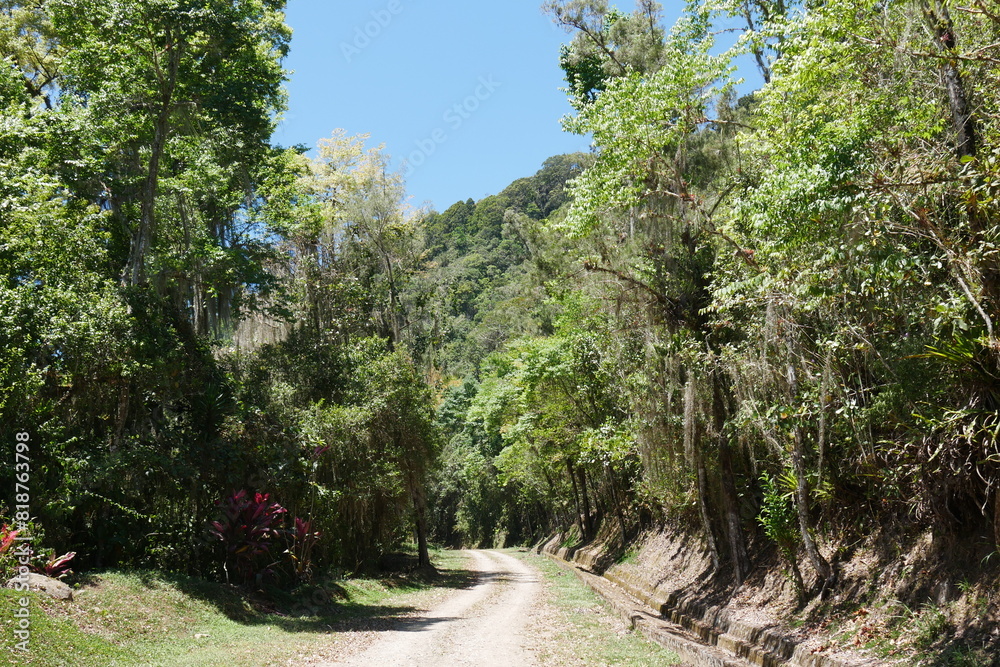 Fototapeta premium Straße durch tropischen Regenwald bei Orosi in Costa Ricas Berglandschaft