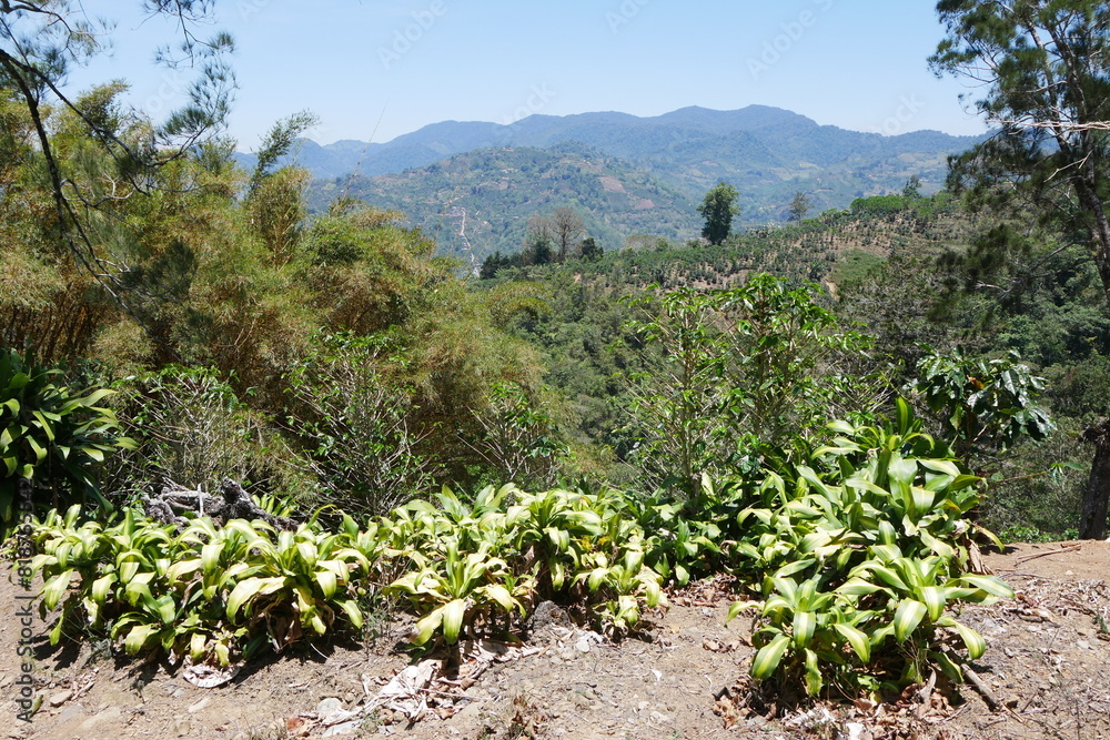 Tropische Berglandschaft bei Orosi in Costa Rica Tropische Berglandschaft bei Orosi in Costa Rica
