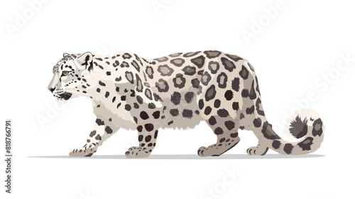 Snow leopard or ounce isolated on white background