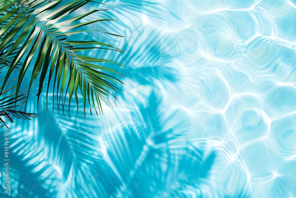 Tropical Palm Leaf Shadows on Clear Blue Pool Water - Summer Vibes Background Tropical Palm Leaf Shadows on Clear Blue Pool Water - Summer Vibes Background