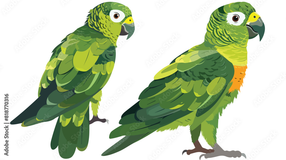 Amazon parrot. Cute funny Amazona bird. Exotic tropic
