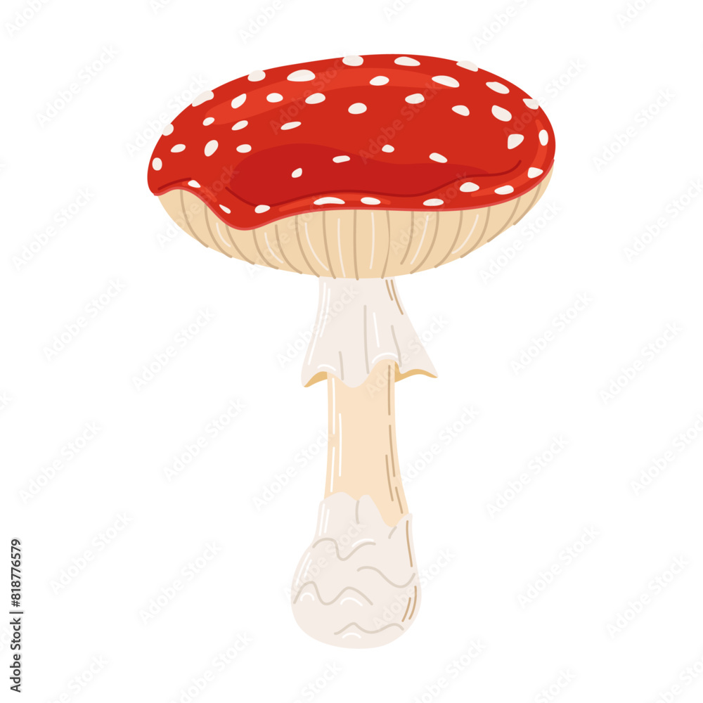 Fly agaric red poison mushroom. Hand drawn Amanita muscaria. Hallucinogenic, psychedelic forest mushroom. Trendy flat style magic fungus isolated on white. Vector illustration Fly agaric red poison mushroom. Hand drawn Amanita muscaria. Hallucinogenic, psychedelic forest mushroom. Trendy flat style magic fungus isolated on white. Vector illustration
