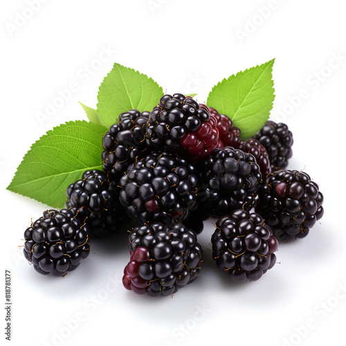 Blackberries in a pile isolated on white background