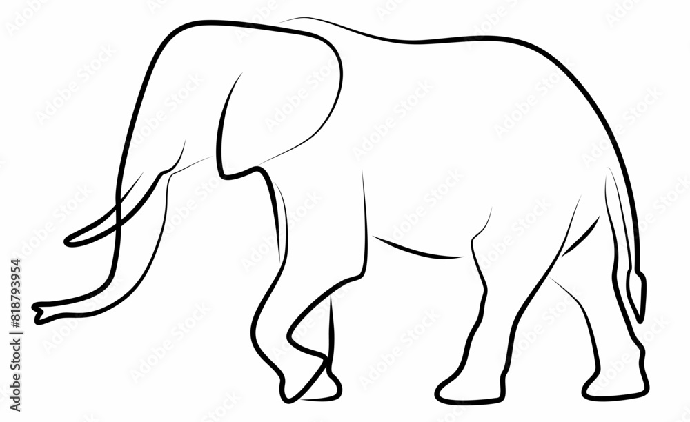 Fototapeta premium Elephant vector, line drawing side view illustration isolated on white background