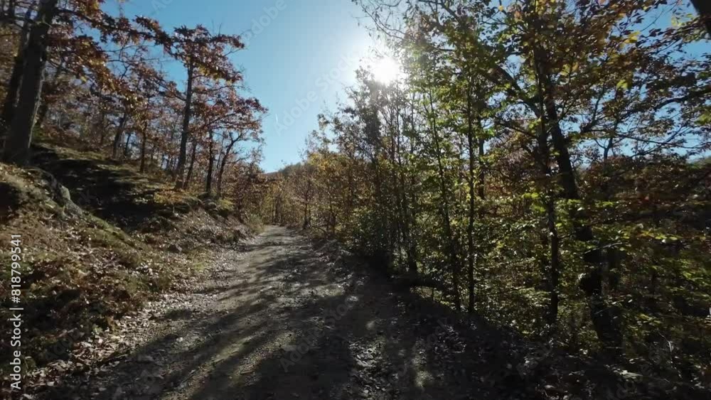 POV point of view driving in car vehicle on dirt gravel mountain road through colorful autumn tree forest, timelapse 4k POV point of view driving in car vehicle on dirt gravel mountain road through colorful autumn tree forest, timelapse 4k
