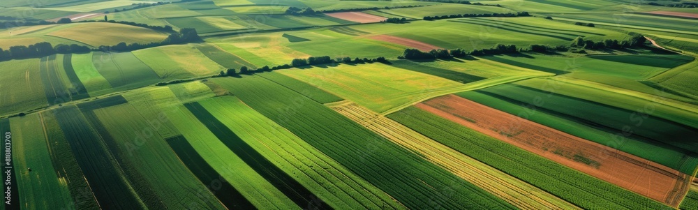 Fototapeta premium Aerial view of a field with trees and fields in the distance