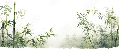 Whispers of Bamboo