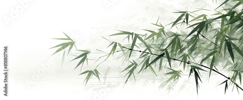 Bamboo Harmony