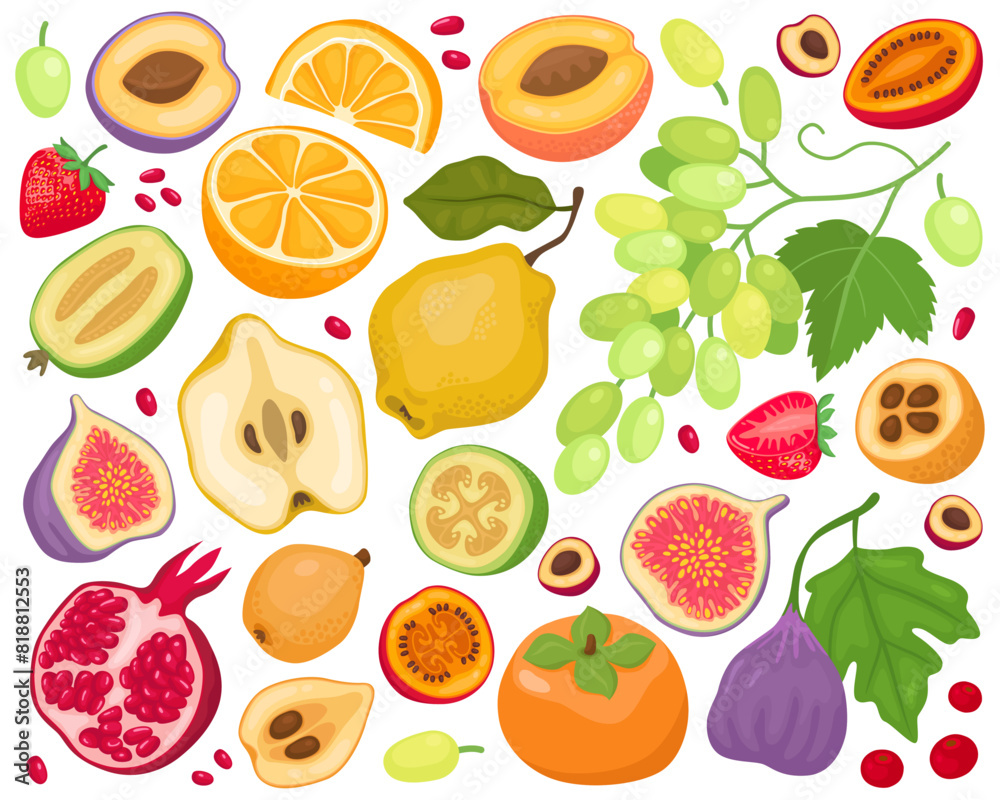 Various fruits on a white background. Cartoon illustration. Pomegranate, figs, grapes, orange, feijoa, strawberry, peach, loquat, tamarillo, quince, persimmon. Fruits and slices, summer illustration. Various fruits on a white background. Cartoon illustration. Pomegranate, figs, grapes, orange, feijoa, strawberry, peach, loquat, tamarillo, quince, persimmon. Fruits and slices, summer illustration.