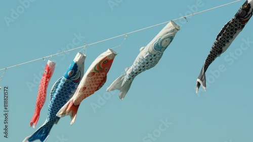 まつぶしの鯉のぼり (埼玉県まつぶし緑の丘公園) photo