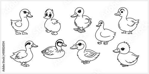 Doodle duck clip art isolated. Hand drawn animal bird icon. Vector stock illustration. EPS 10 (ID: 818826134)