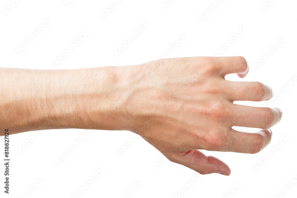 Human male hand in a relaxed position isolated on a white background, depicts the concept of body parts