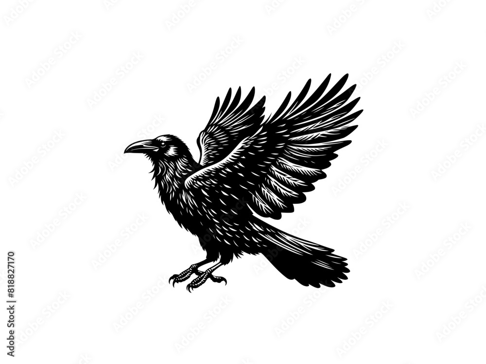 Fototapeta premium Crow Vector Illustration for Dark Designs and Mysterious Art