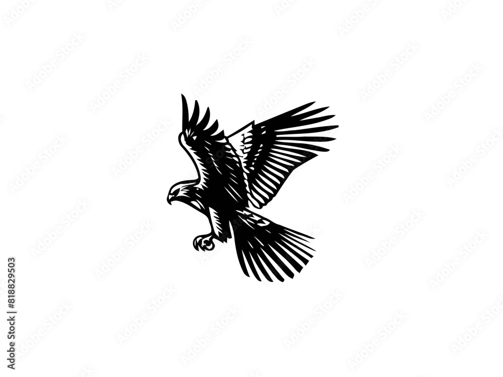 Obraz premium Majestic Hunter: Hawk Vector Illustration for Wildlife Designs and Powerful Art
