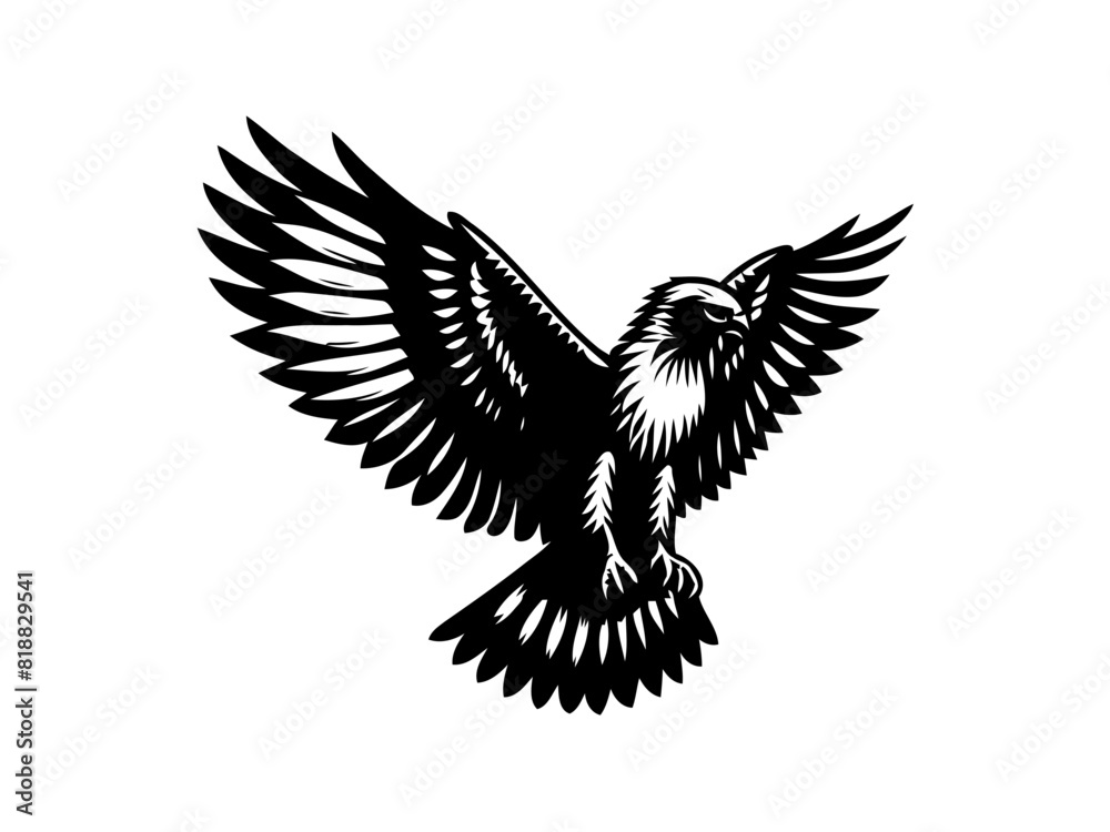 Fototapeta premium Majestic Hunter: Hawk Vector Illustration for Wildlife Designs and Powerful Art