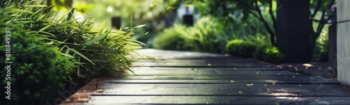 Wooden walkway that is lined with plants. Simple background 