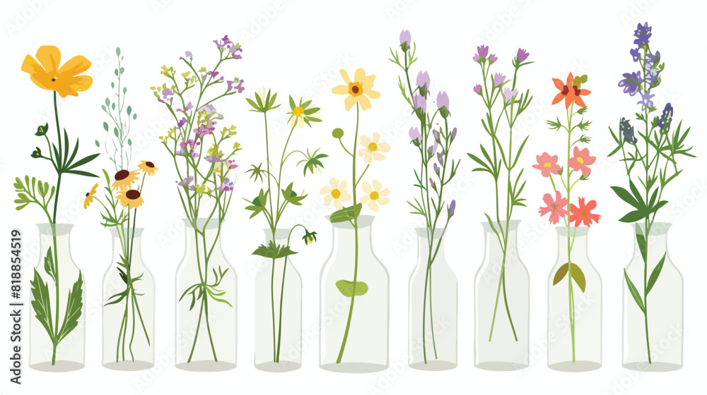 Summer flowers in glass vase. Spring floral plants st