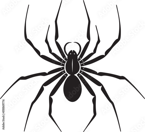 spider silhouette vector