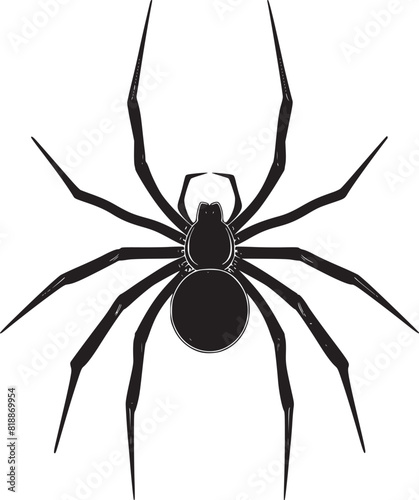 spider silhouette vector © MDMASUD
