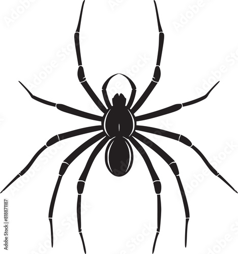 spider silhouette vector