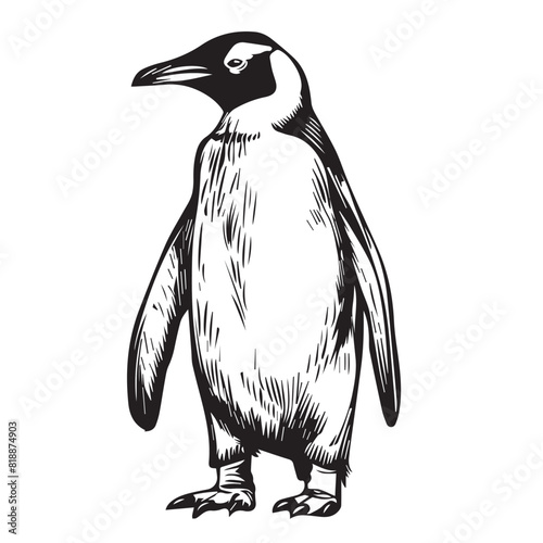 Penguin in cartoon, doodle style. Image for t-shirt, web, mobile apps and ui. Isolated 2d vector illustration in logo, icon, sketch style, Eps 10. AI Generative