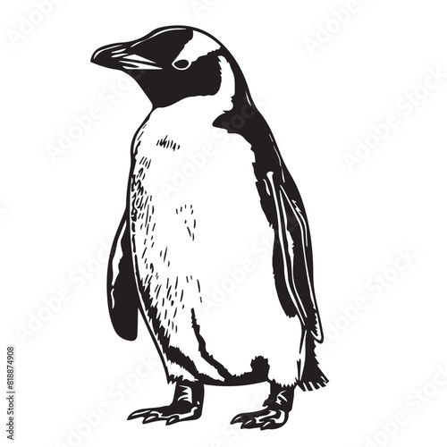 Penguin in cartoon, doodle style. Image for t-shirt, web, mobile apps and ui. Isolated 2d vector illustration in logo, icon, sketch style, Eps 10. AI Generative