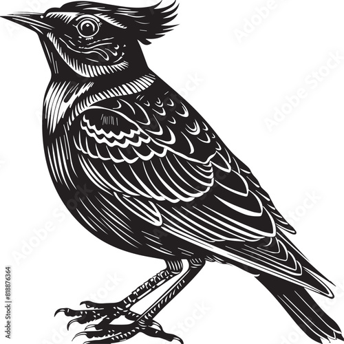 Skylark in cartoon, doodle style. Image for t-shirt, web, mobile apps and ui. Isolated 2d vector illustration in logo, icon, sketch style, Eps 10. AI Generative photo