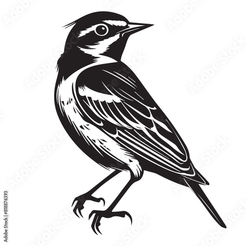 Skylark in cartoon, doodle style. Image for t-shirt, web, mobile apps and ui. Isolated 2d vector illustration in logo, icon, sketch style, Eps 10. AI Generative