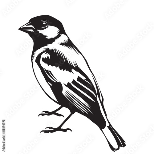 Finch in cartoon, doodle style. Image for t-shirt, web, mobile apps and ui. Isolated 2d vector illustration in logo, icon, sketch style, Eps 10. AI Generative