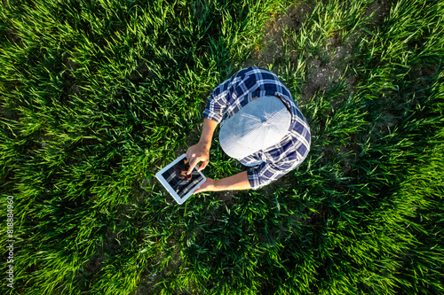 Farmer using tablet in wheat field. View from above of a farmer in blue shirt using a tablet in a young wheat field.High quality photo