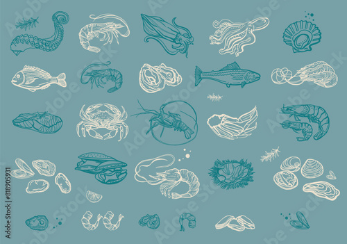 Isolated vector set of seafood. Shrimps, langoustines, prawns, salmon, trout, oysters, mussels, squid, crab, lemon, octopus, rosemary. Hand-drawn seafood delicacy, restaurant and marine.
