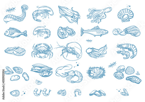 Isolated vector set of seafood. Shrimps, langoustines, prawns, salmon, trout, oysters, mussels, squid, crab, lemon, octopus, squid, rosemary. Hand-drawn seafood delicacy, restaurant and marine.